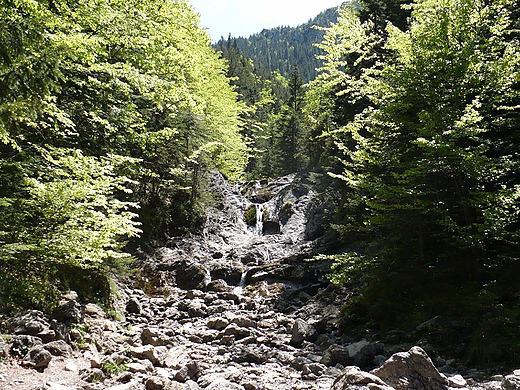 Górski strumień w Tatrach