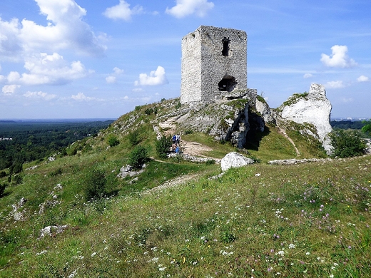 Zamek Krlewski w Olsztynie.