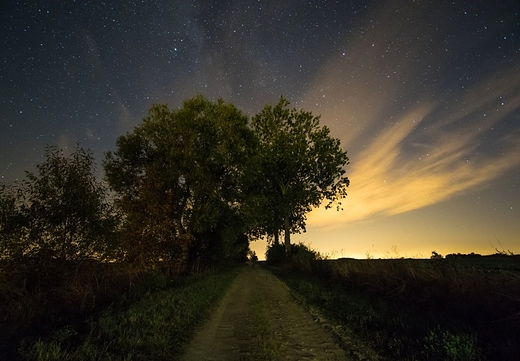 Polna droga i nocne niebo