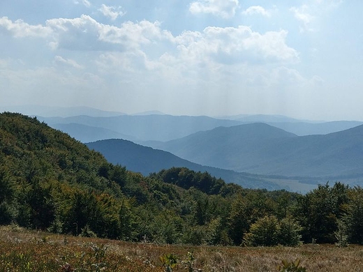 Bieszczadzka panorama