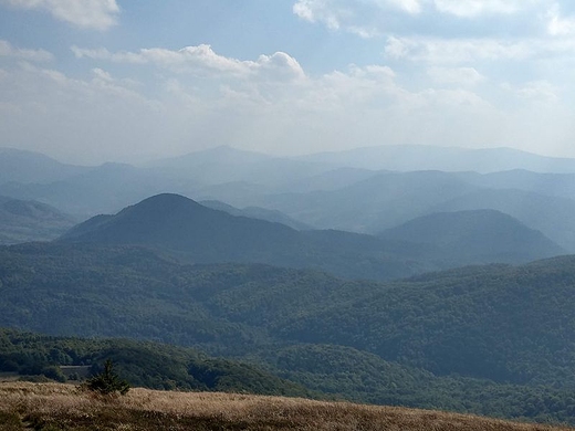 Tajemnicze Bieszczady - widok z Tarnicy