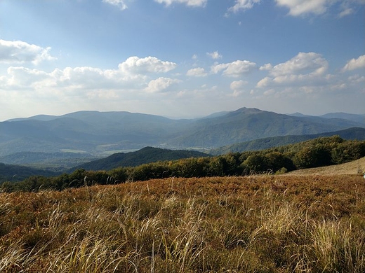 Rawki i Poonina Caryska widziane z Tarnicy