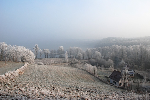 Widok na jezioro Wysokie Brodno