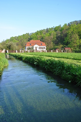 Przyroda w Pieskowej Skale