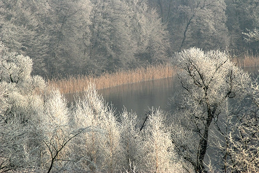 Wysokie Brodno - południowy kraniec jeziora