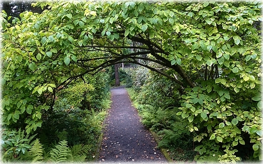 Arboretum w Ldku Zdroju