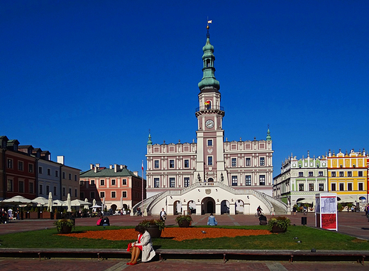 Zamo Rynek