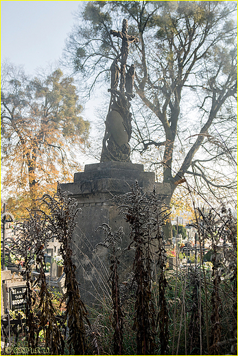 na cmentarzu w Wouczynie
