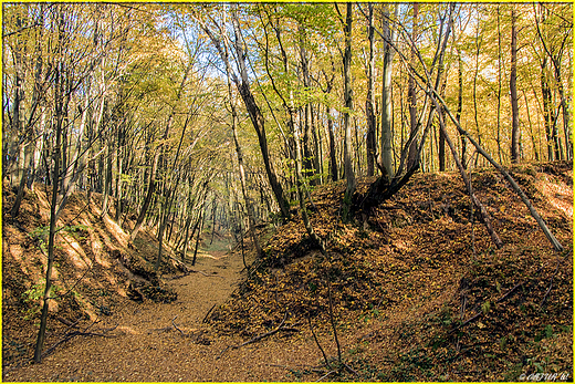 Skierbieszowski Park Krajobrazowy...