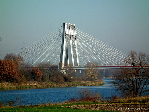 Most im.kard.Franciszka Macharskiego w Krakowie.