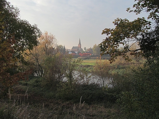 Spojrzenie na koci z oddali