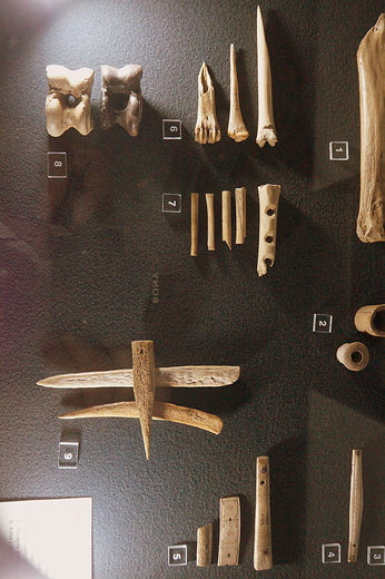 Rezerwat Archeologiczny  Grd Piastowski w Gieczu
