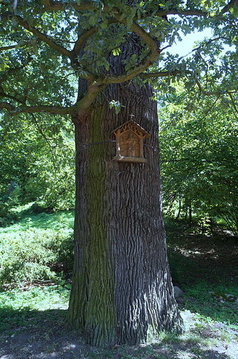 Gouchw - zamek Czartoryskich-park