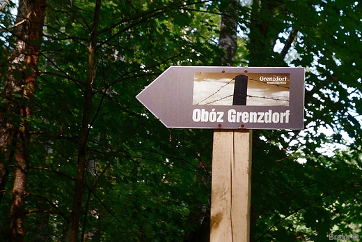 Graniczna Wie Grenzdorf - hitlerowski obz dla Jecw Cywilnych