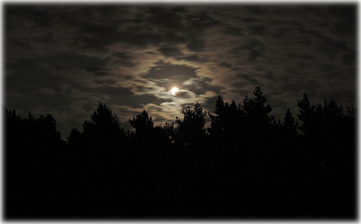 pełnia księżyca nad Karwieńskimi Błotami