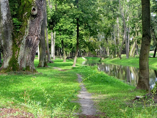 Park Dernaowiczw