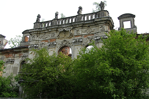 Goszcz. Ruiny paacu.