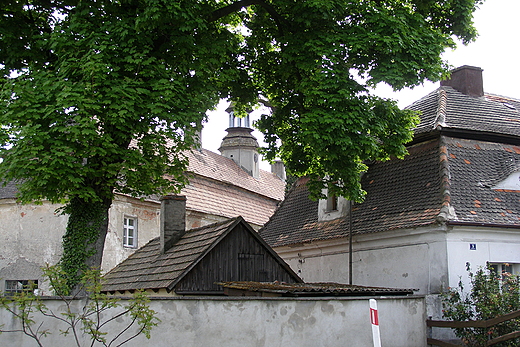 Goszcz. Dachy budynkw zespou paacowego.