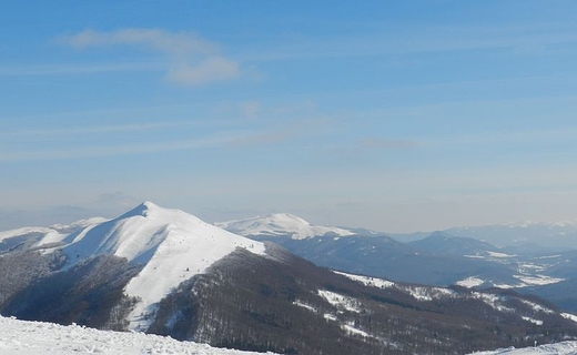 Poonina Caryska i Tarnica ogldane spod Chatki Puchatka