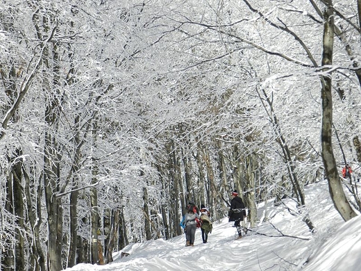 Śnieżny raj