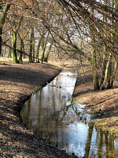 Wijca si rzeczka