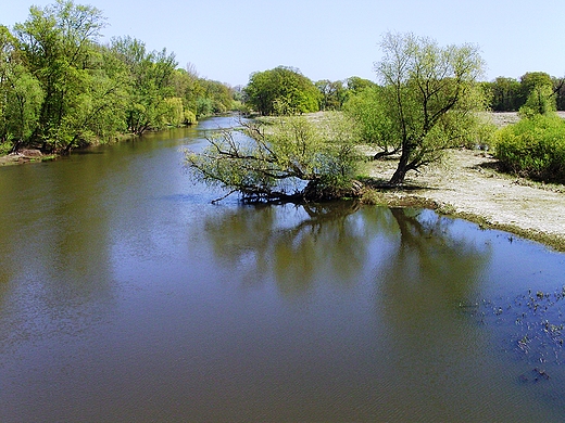 Barycz