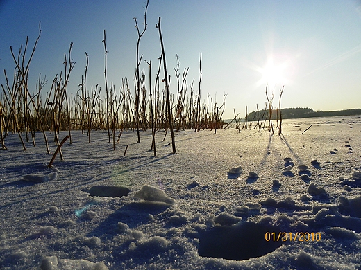 Zima 2010