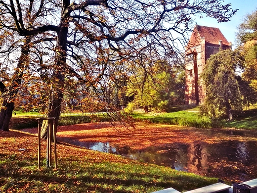 Park Zamkowy