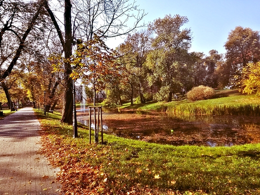 Szamotuy - Park Zamkowy