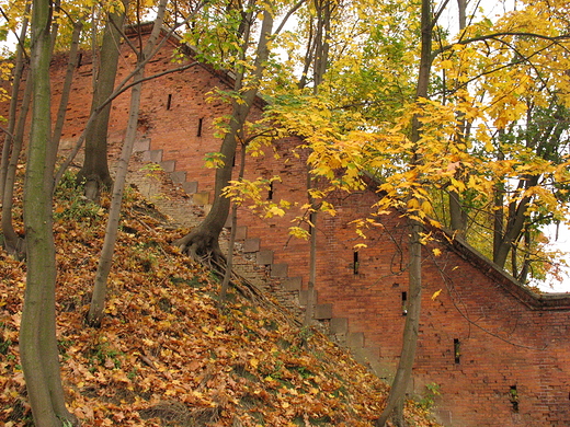 Mury warszawskiej cytadeli
