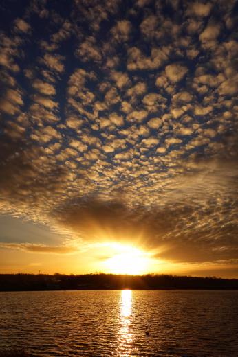 Cirrocumulus