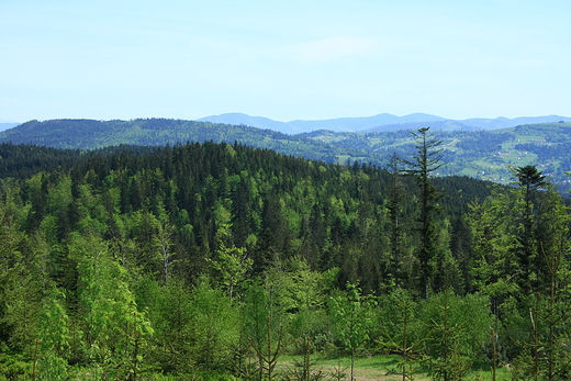 beskid lski wiosna