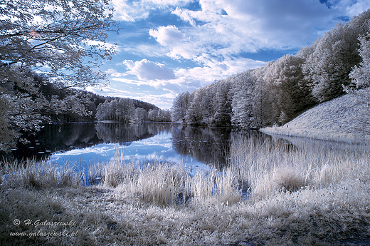 Turtul infrared