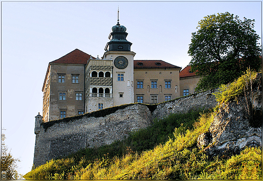 Zamek w  Pieskowej Skale