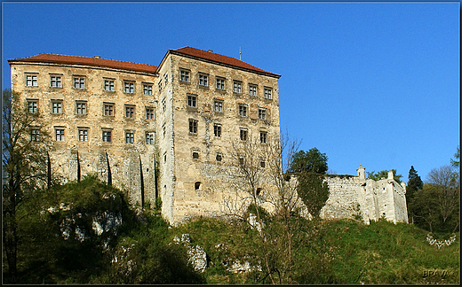 Zamek w  Pieskowej Skale