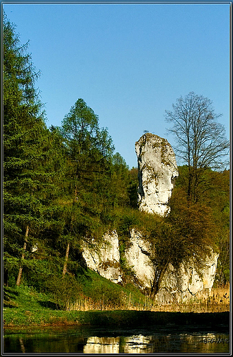 Maczuga Herkulesa w Pieskowej Skale