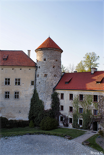 Zamel w  Pieskowej Skale - fragment dziedzica