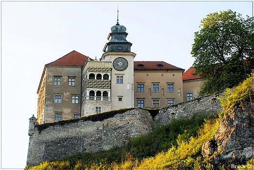 Zamek w  Pieskowej Skale - widok od Maczugi Herkulesa