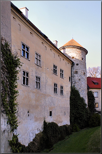 Zamek w  Pieskowej Skale  - fragment dziedzica
