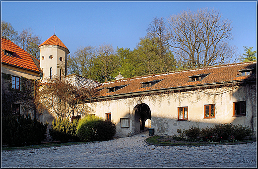 Zamek w  Pieskowej Skale - fragment dziedzica