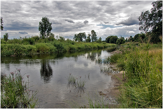 rzeka Narew.