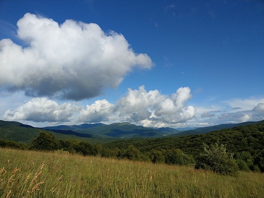 Widok z Przeczy Wyniaskiej