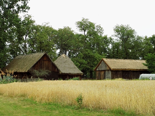 Skansen w Muzeum Rolnictwa