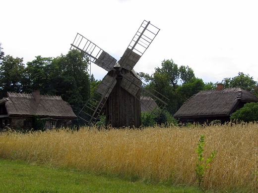 Skansen w Muzeum Rolnictwa