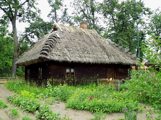 Skansen w Muzeum Rolnictwa