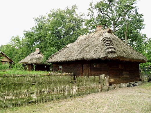 Skansen w Muzeum Rolnictwa