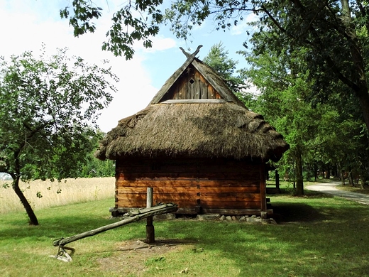 Skansen w Muzeum Rolnictwa