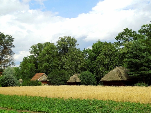 Skansen w Muzeum Rolnictwa