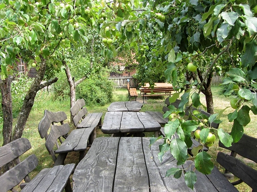 Skansen w Muzeum Rolnictwa