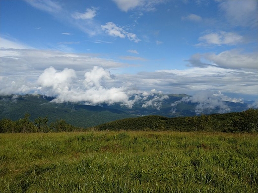 Widok z Rawek na gniazdo Tarnicy